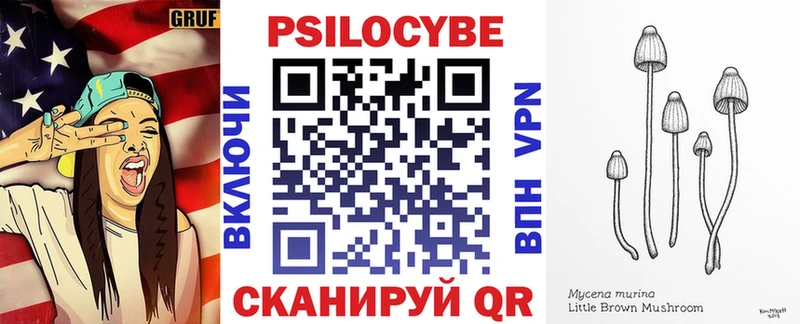 Галлюциногенные грибы Psilocybine cubensis  Купить закладки  Чулым 